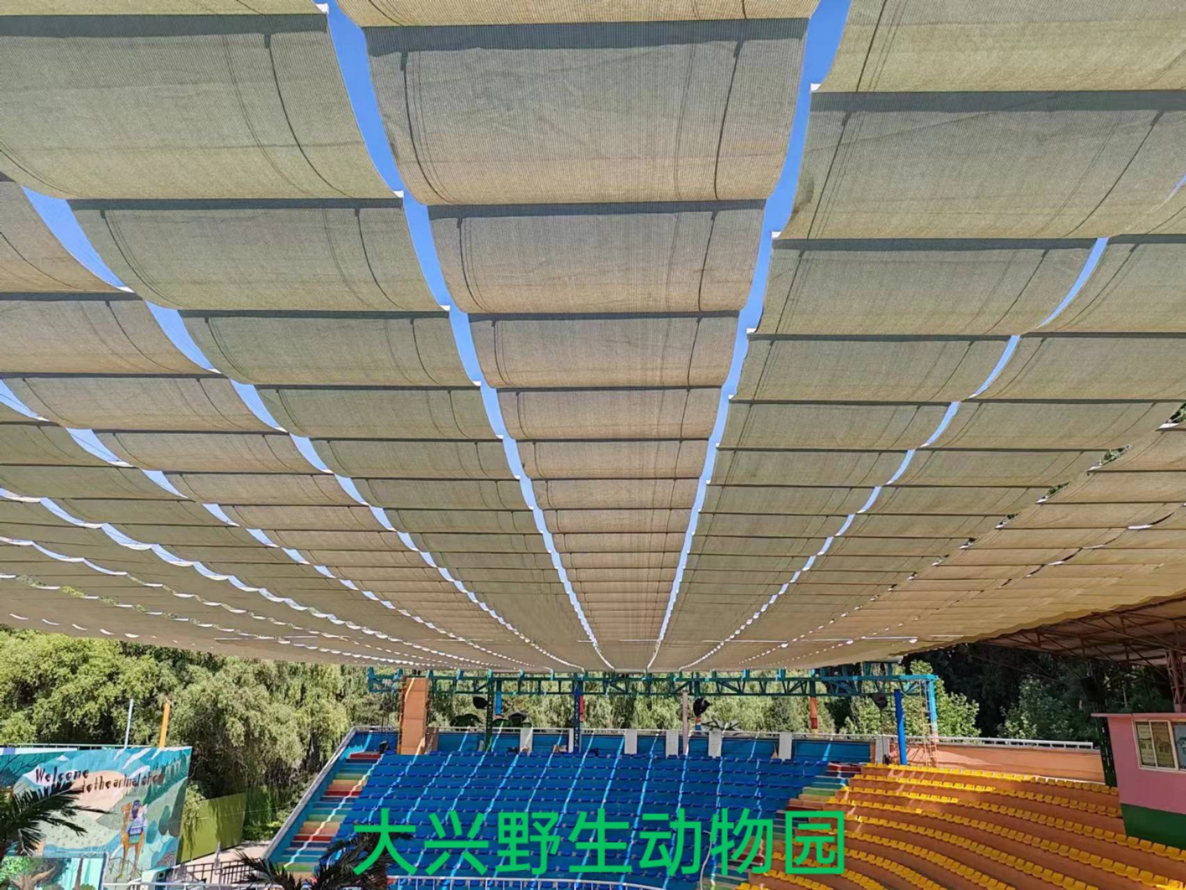 大兴野生动物园